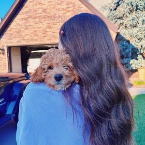 Meet your Posher, Molly